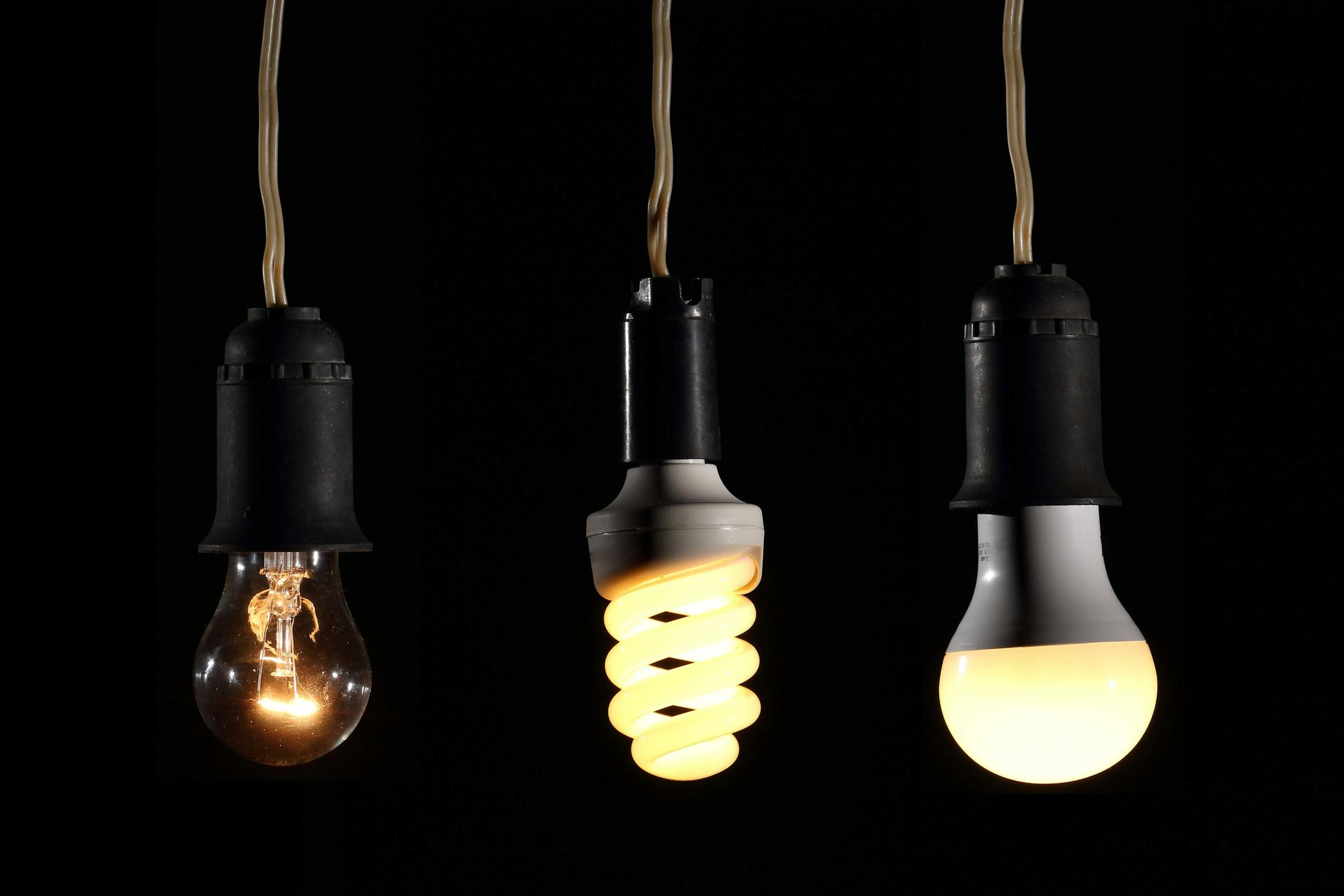 Incandescent, CFL, and LED bulbs side by side showing the evolution of lighting technology